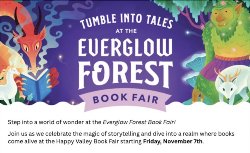 Book Fair Castle 2025